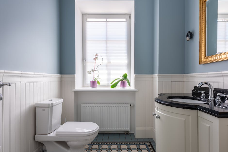 Toilet Repair & Installation in Centennial, CO - The Centennial Plumber